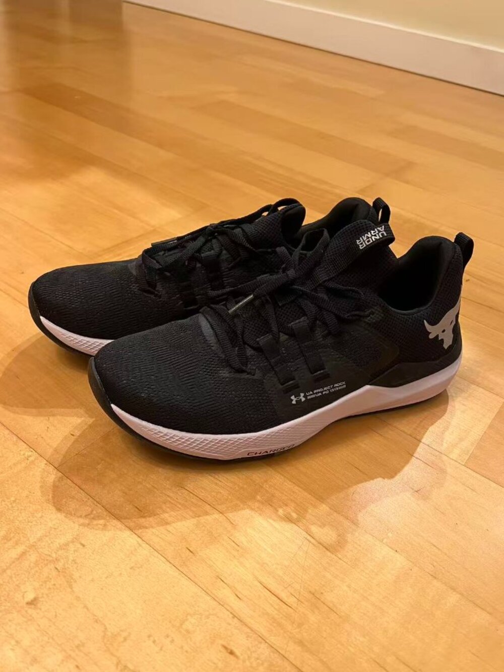 Under Armour Project Rock Training Shoes